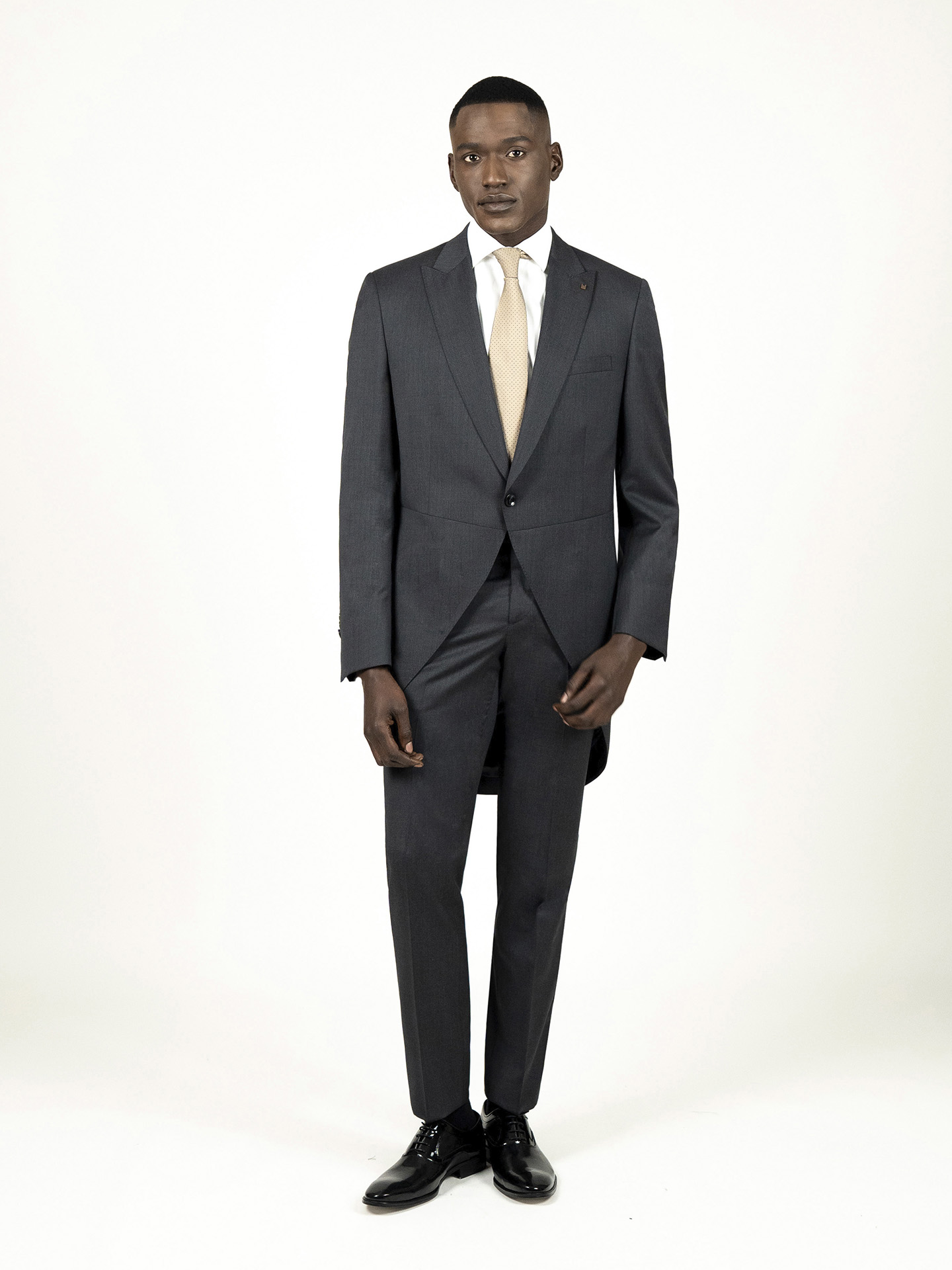 Grey Morning Suit Tailored Fit