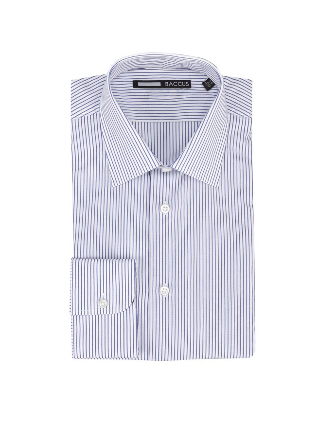 Blue Striped Regular Fit Classic Shirt